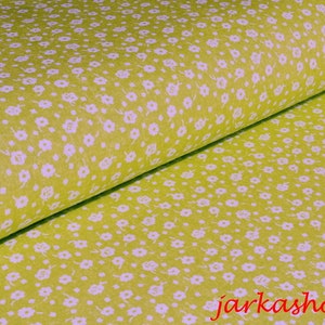 Cotton flower white on green
