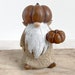 see more listings in the Gnomes section