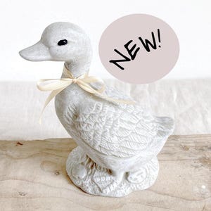 Reusable Latex Duck Mold – For Concrete, Plaster or Resin | DIY Garden Decor