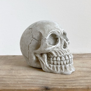 Floral Sugar Skull Mold – shopgoodeystudio