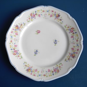 Könnte beinhalten: Ein weißer Porzellanteller mit blauem Rand und einem floralen Muster in Rosa-, Gelb- und Blautönen.