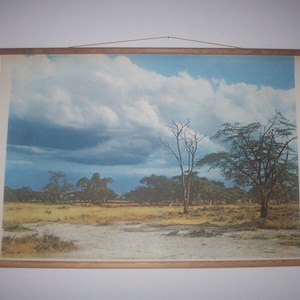 Op de afbeelding: Een vintage landschapsprent die een Afrikaanse savanne toont. De prent toont een uitgestrekt, open veld met verspreide bomen onder een bewolkte hemel. De prent is gemonteerd op houten staven met metalen eindkappen.