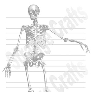 Digital/Printable Snailmail Letter Writing Paper - Gothic Vintage Skeleton