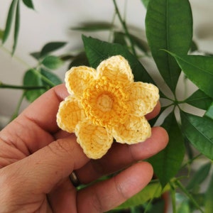 May include: A crocheted yellow daffodil flower with a darker yellow center.