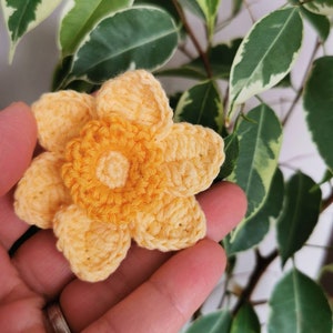 May include: A crocheted yellow flower with a detailed center, held in a hand.