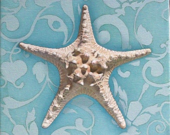 Starfish