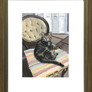 Studio Cat