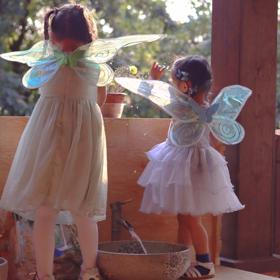 Dress Up Set - Fairy Wings and Star Magic Wand