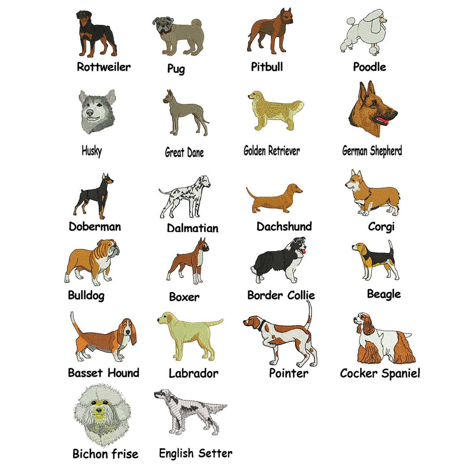 Alle Hunderassen mit Bild und Name: Ein ultimativer Leitfaden