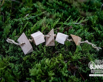 Fling balsa aux fruits tropicaux | Jouet à mâcher à saveur naturelle pour lapins, cobayes, chinchillas, hamsters, gerbilles, souris, rats, oiseaux