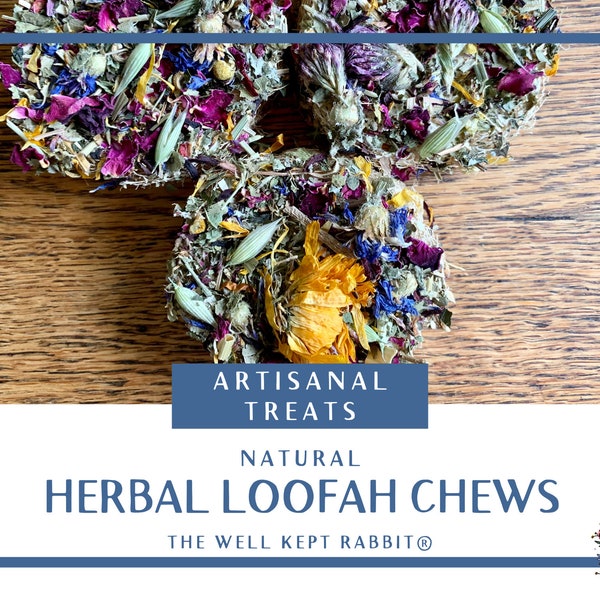 The Original Herbal Loofah Chews | Natural Chew Toy | guilt-free treat and toy in one for rabbits & guinea pigs