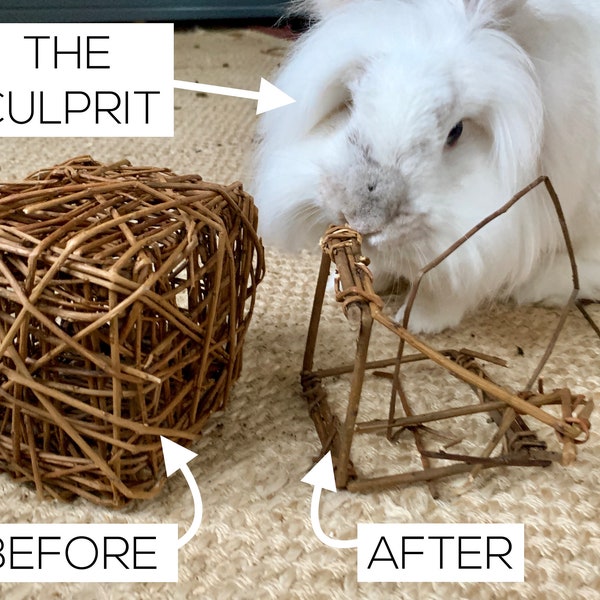 Willow Cube Chew Toy | Bunny Rabbit, Guinea Pig, Chinchilla, Small Pet Enrichment | Non-Toxic | Handmade