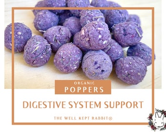 Digestive System Support Poppers | gut health, detoxification, motility aid | Organic Healthy Treat for Bunny Rabbits & Guinea Pigs