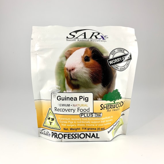 sherwood guinea pig