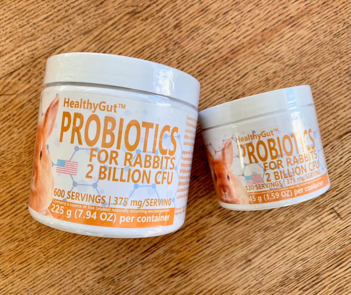 HealthyGut™ Probiotics plus Prebiotics for Rabbits Vet Etsy