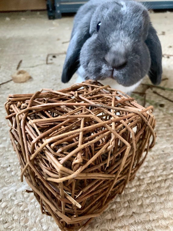 Willow toys top for rabbits