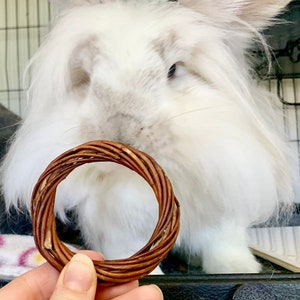 Willow Rings | Chew Toy for Bunny Rabbits, Guinea Pigs, Chinchillas, Hamsters, Rats, Gerbils, Small Pets