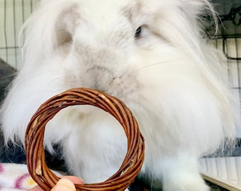 Willow Rings | Chew Toy for Bunny Rabbits, Guinea Pigs, Chinchillas, Hamsters, Rats, Gerbils, Small Pets