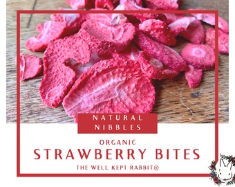 Strawberry Bites | antioxidants, vitamin C, and dietary fiber | 1 oz | Healthy Organic Treats for Bunny Rabbits, Guinea Pigs & Small Pets