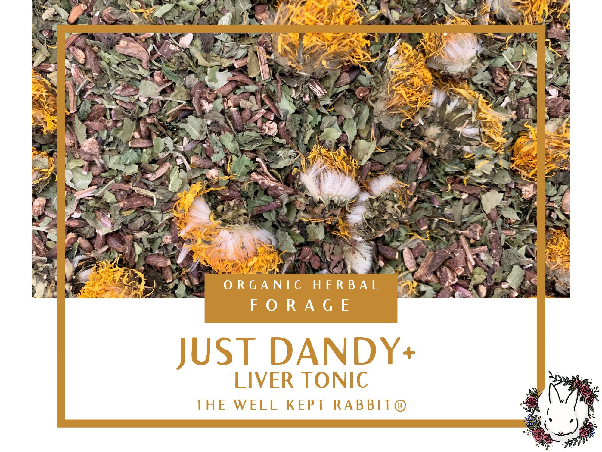 Just Dandy+ Liver Tonic | Herbal Forage | liver support, digestive ai…