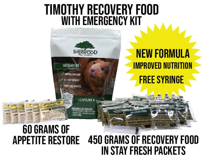 EMERGENCY KIT for Guinea Pigs Recovery Food and Appetite Etsy