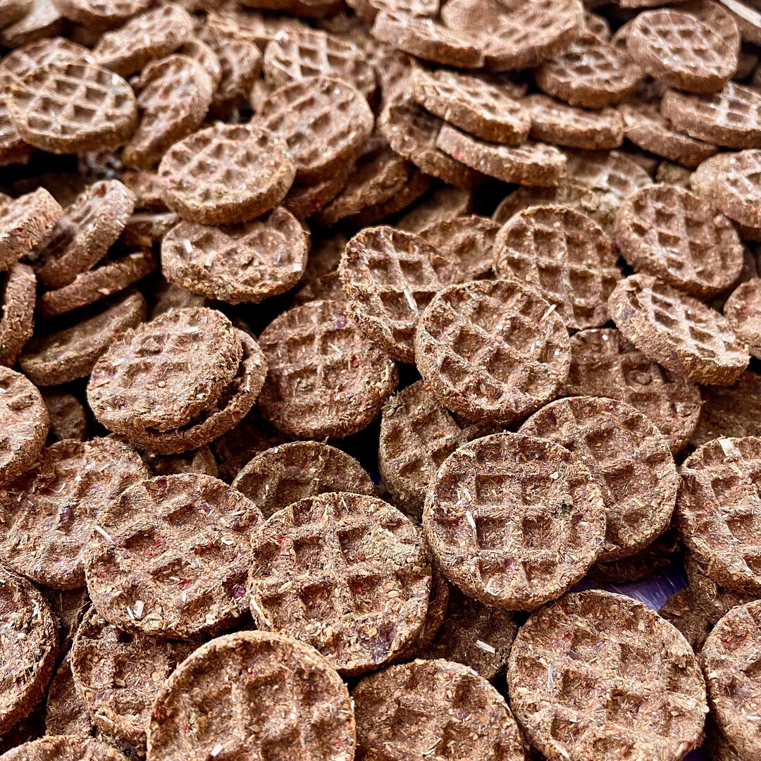Curated visual reference: Guinea Pig High Fiber Bread Treats Reference: Mini Waffles High Fiber Organic Healthy Treat For Rabbits Guinea