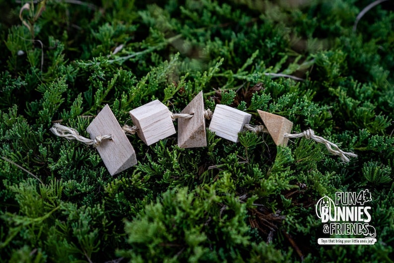 May include: A wooden toy for small animals, featuring a string of geometric shapes, including triangles, squares, and rectangles. The shapes are strung together with natural twine. The toy is on a bed of green foliage.