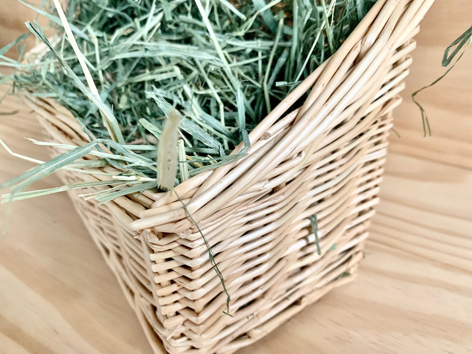 Willow Hay Rack & Basket for Chewing Storing Hay Food Toys Etsy India