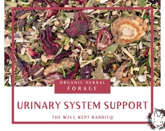Urinary System Support | Herbal Forage | supports healthy bladder and kidney function | Organic Hay Topper for Bunny Rabbits & Guinea Pigs
