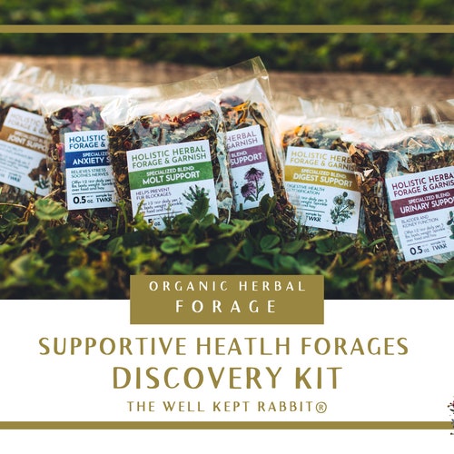Supportive Health Forages Discovery Kit | Herbal Blends | Organic Hay Topper for Bunny Rabbits, Guinea Pigs, Small Pets