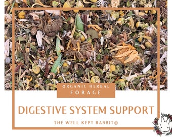 Digestive System Support | Herbal Forage | gut health, detoxification, liver tonic | Organic Hay Topper for Bunny Rabbits & Guinea Pigs