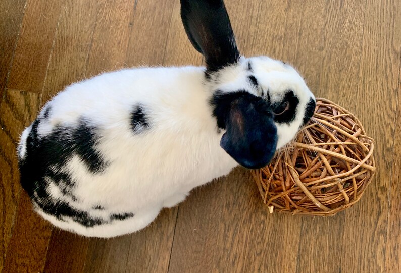 MEDIUM Willow Ball Healthy Chew Toy for Bunny Rabbits Etsy