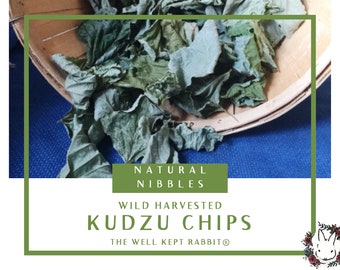 Thumper's Kudzu Chips | Bunny Rabbit, Guinea Pig, Chinchilla, Hamster, Rat Treat | Wild Harvested | Dehydrated Kudzu Leaves