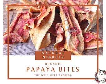 Papaya Bites | molting aid, dietary fiber, proteolytic enzymes | 2 oz | Healthy Organic Treats for Rabbits, Guinea Pigs & Other Small Pets