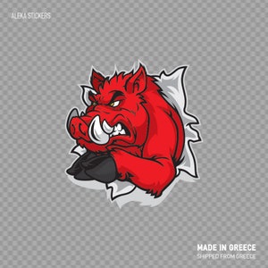 Calcomanía pegatina Razorback Wild Pig Tearing Cartoon maskot Angry W9X7X