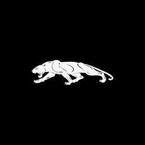 Etiqueta de calcomanía Pantera Negra caza terror salvaje rugiente ataque hambriento W84W9