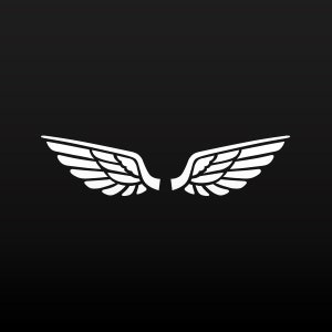 Sticker Paire d'ailes Air-force angels fly liberté casque décoration Icare Pilot racing speed XR6XX