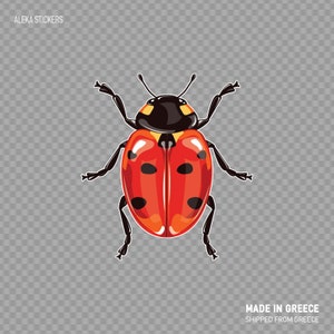 Decal Sticker coccinella fumetto illustrazione vividi colori insetto rosso nero X2 X 64