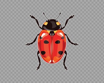 Decal Sticker Ladybug  Cartoon Illustration vivid colors Red Black insect X2X64