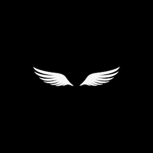 Aufkleber Aufkleber Paar Flügel Air-Force Engel fliegen Freiheit Ikarus Racing Speed Helm Motorrad Dekoration XR6W7