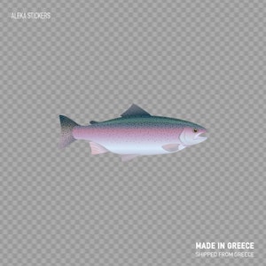 Calcomanía pegatina río trucha arco iris cebo el anzuelo tienda de pesca decoración del barco pescador de agua dulce lago mar bajo el agua resistente a la intemperie W8XX6