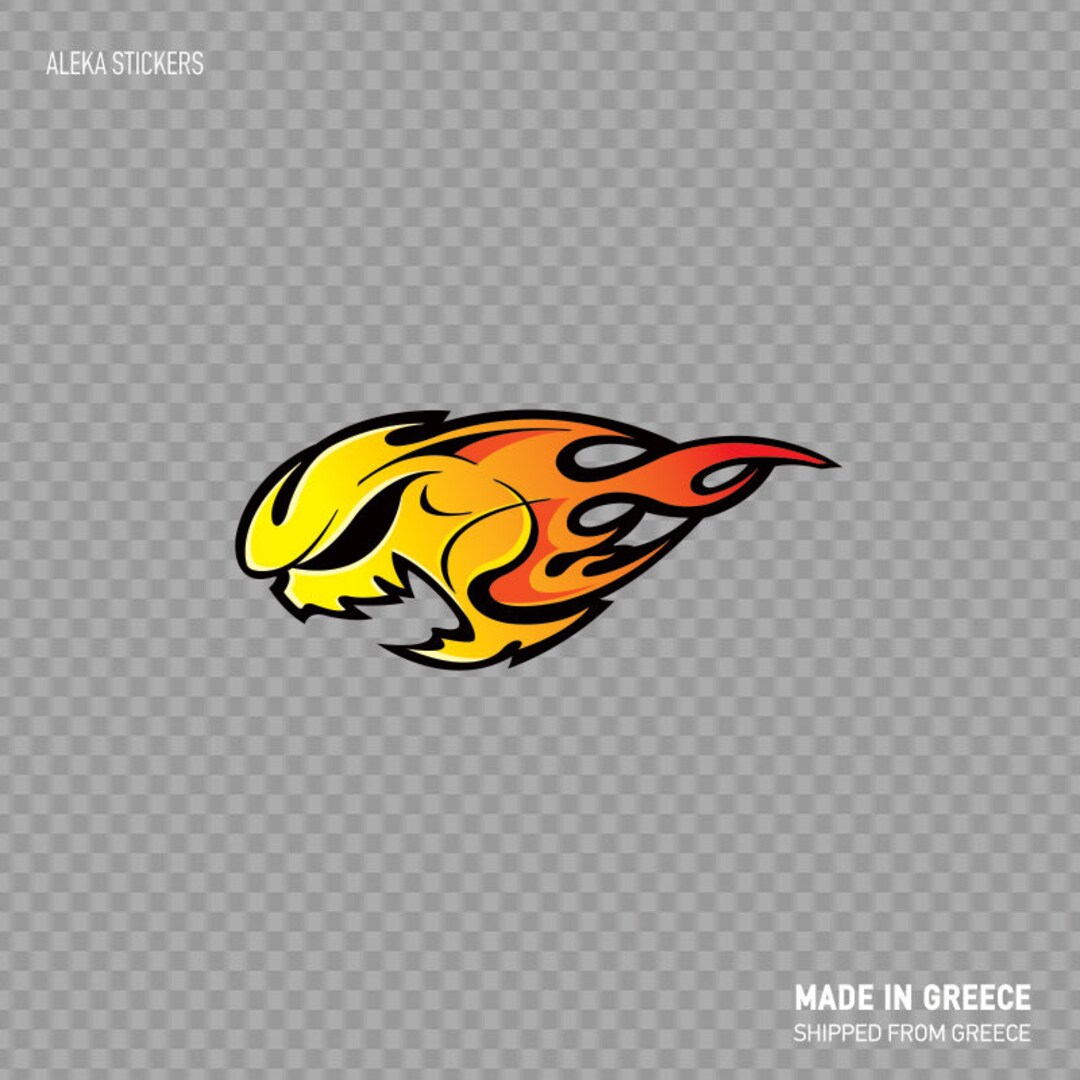 Decal Sticker Skull Speed Flame Auto-moto Easy Rider Flamed Fire Helmet ...