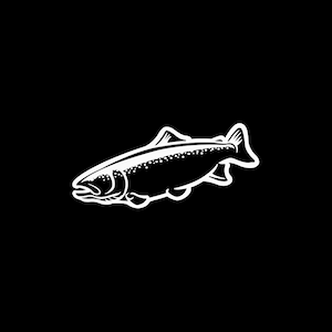 Aufkleber Forelle Fisch Boot Dekoration Köder Haken Süßwasserangeln Fliegenfischen Fischer See Angeln Ladendekoration Fluss XRW88