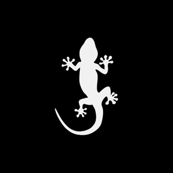 Gecko decal in 9 colors