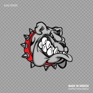 Op de afbeelding: Een grijze bulldog met een rode, puntige halsband, de bulldog gromt met zijn bek open en zijn tong uitsteekt.