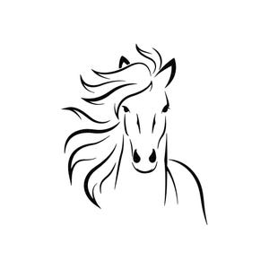 Decal Sticker Horse Spirit Of Freedom adventure High detailed internal external use interior decorating Top quality vinyl royal W7356
