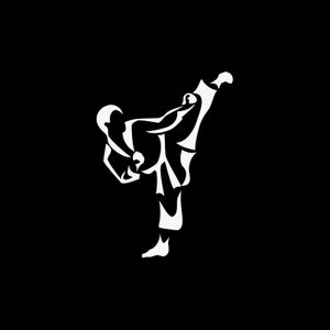 Sticker Sticker krijgskunsten atleet tang soo do karate oefening evenwicht sterkte flexibiliteit coördinatie uithoudingsvermogen fitness atletische KR258