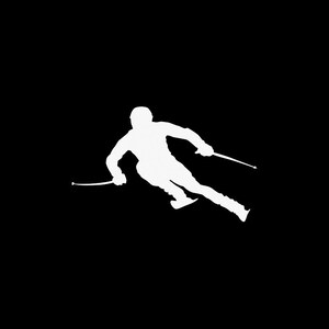 Sticker Sticker Wintersport Skiën Ski lichaamsbeweging balans kracht flexibiliteit behendigheid coördinatie uithoudingsvermogen fitness atletische RS372