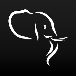 Calcomanía Pegatina Cabeza de Elefante Africa Asia Feng Shui fuerza de poder vitalidad tradicional W8625
