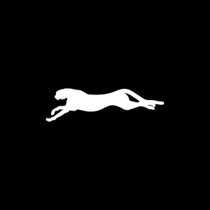 Morte arrabbiato di Decal Sticker Cheetah Wild Cat Mascot paura tigre dannoso nocivo Felidae savana W8379